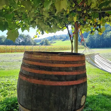 Vakantiehuis Turisticna Kmetija Hisa Ob Gozdu Pri Ptuju Ptuj