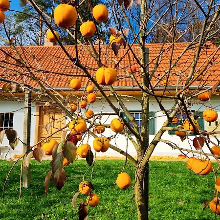 Turisticna Kmetija Hisa Ob Gozdu Pri Ptuju Vakantiehuis