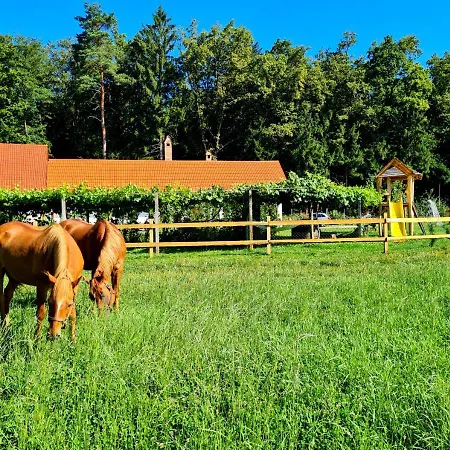 Turisticna Kmetija Hisa Ob Gozdu Pri Ptuju