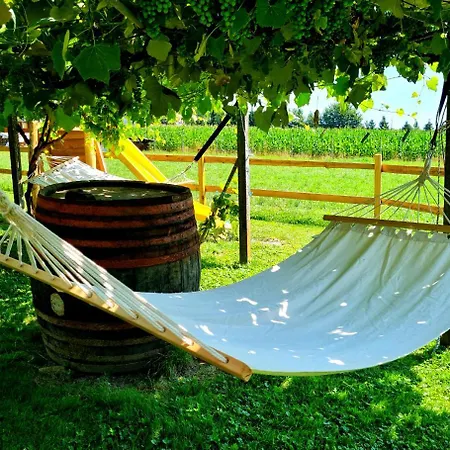 Turisticna Kmetija Hisa Ob Gozdu Pri Ptuju * Ptuj