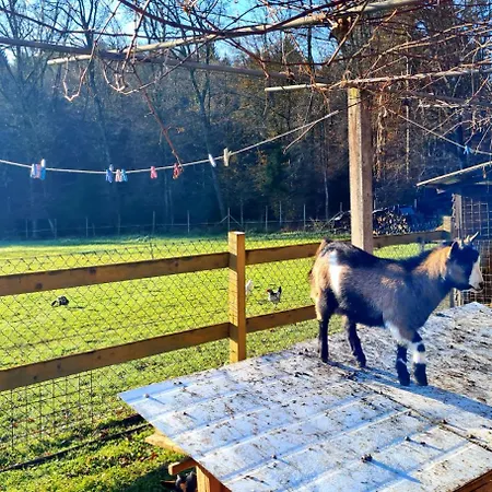 Turisticna Kmetija Hisa Ob Gozdu Pri Ptuju Ptuj