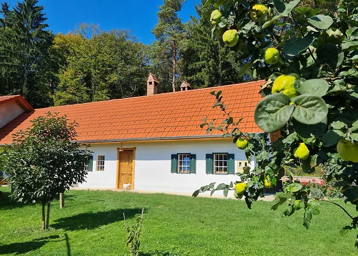 Turisticna Kmetija Hisa Ob Gozdu Pri Ptuju Semesterbostad