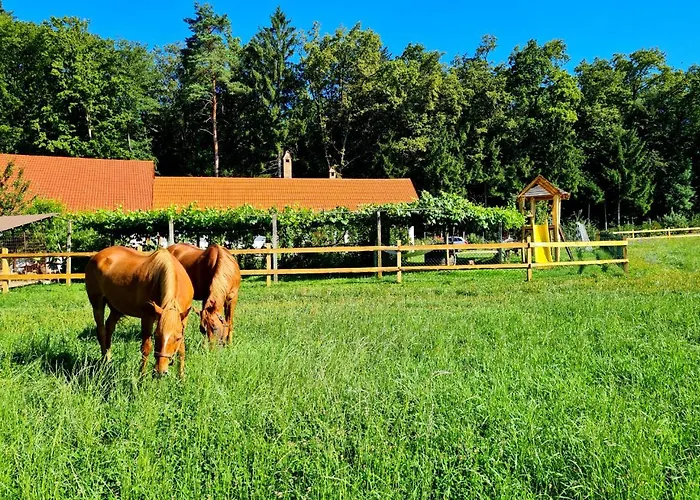 Turisticna Kmetija Hisa Ob Gozdu Pri Ptuju