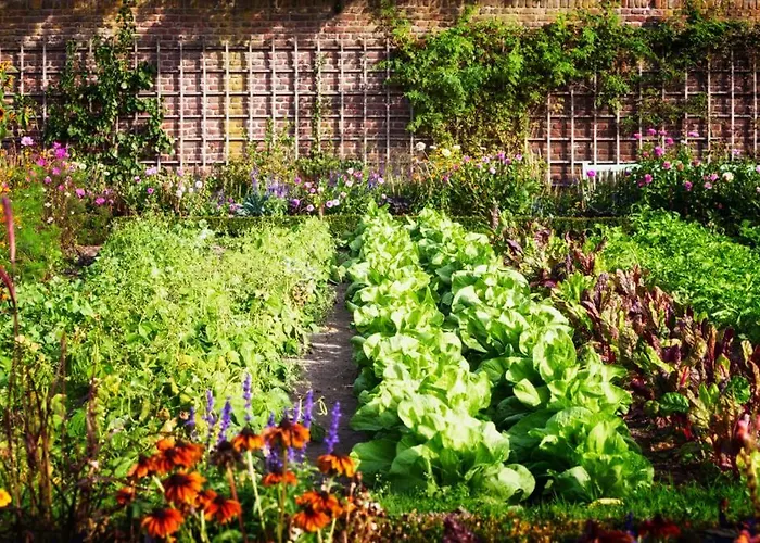 Turisticna Kmetija Hisa Ob Gozdu Pri Ptuju Semesterbostad *