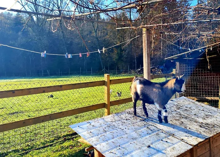 Turisticna Kmetija Hisa Ob Gozdu Pri Ptuju Ptuj